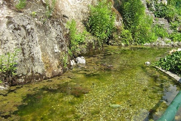 Csillaghegy Bath and Swimming Pool