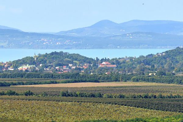 Balatonboglar wineregion