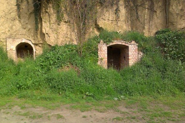 Rows of cellars