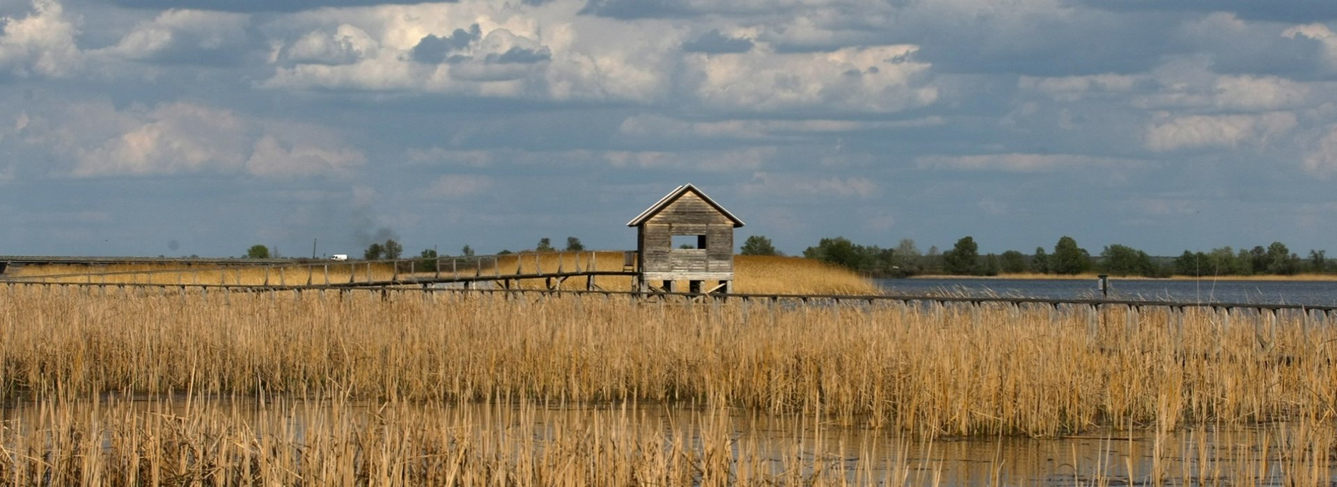 Tisza Lake